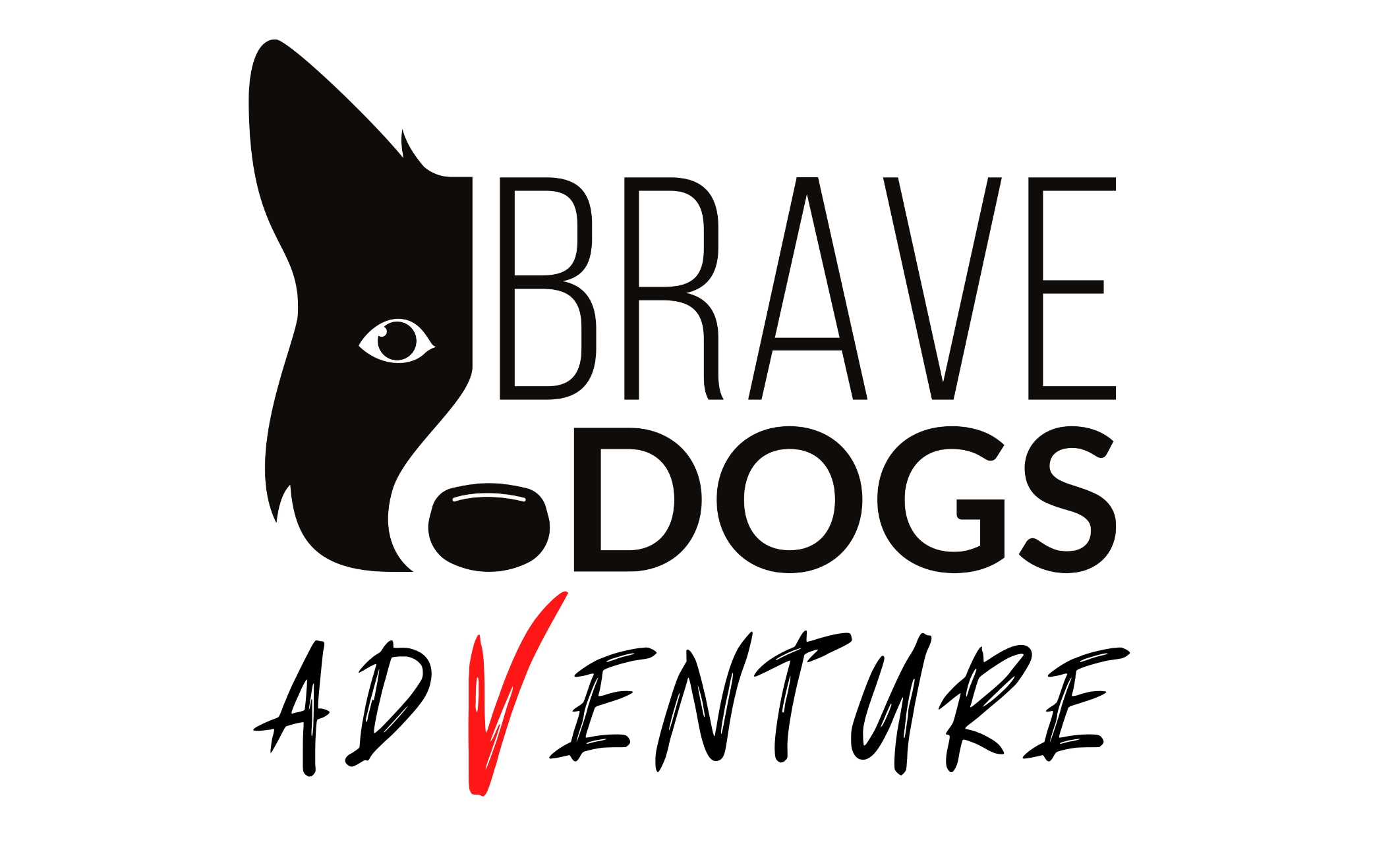 Tajemnica Fortu - Brave Dogs Adventure Toruń